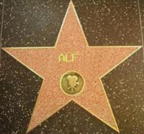 ALF's Star.jpg