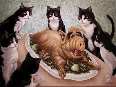 a_aaa-cats-eat-Alf.jpg