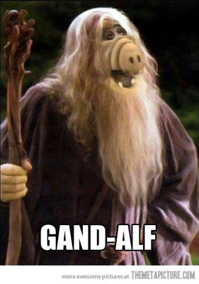funny-Alf-Gandalf-beard.jpg